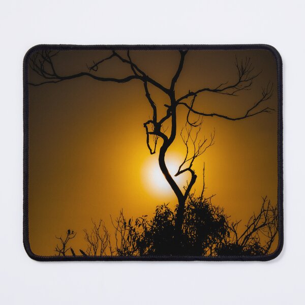Item preview, Sunset Through Tree in Currarong, Beecroft Peninsula, NSW Australia designed and sold by Jayne Ion.