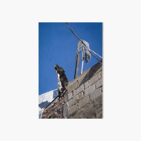 The Roofer Art Board Print