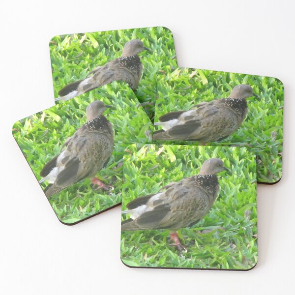 Item preview, Spotted Dove: Earth Tones, Grassy Perch designed and sold by ViperSimaYi.