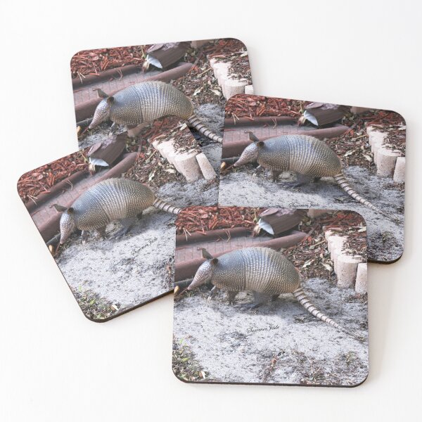 Item preview, What's THIS in the Yard?  Helllloo, Armadillo!!   designed and sold by SummerJade.