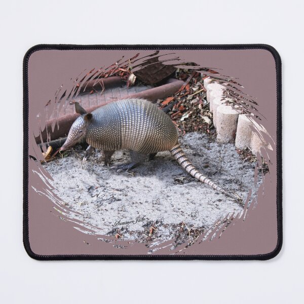 Item preview, What's THIS in the Yard? Helllloo, Armadillo!! designed and sold by SummerJade.