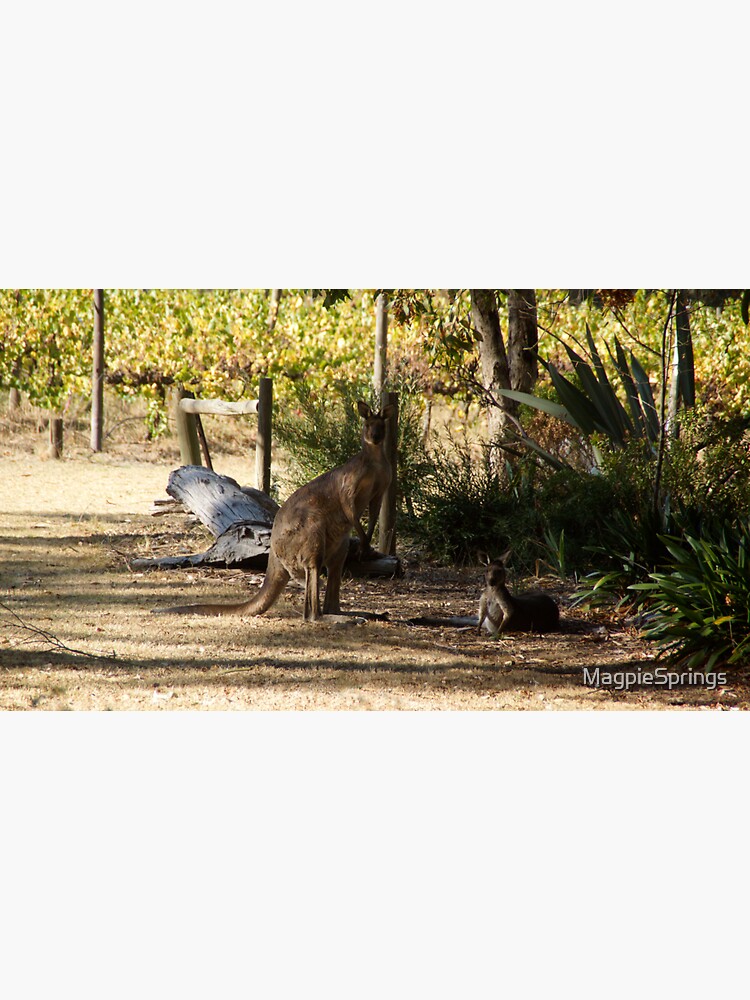 Thumbnail 3 of 3, Sticker, Kangaroos Amid the Vines: Australian Vineyard Wildlife designed and sold by MagpieSprings.