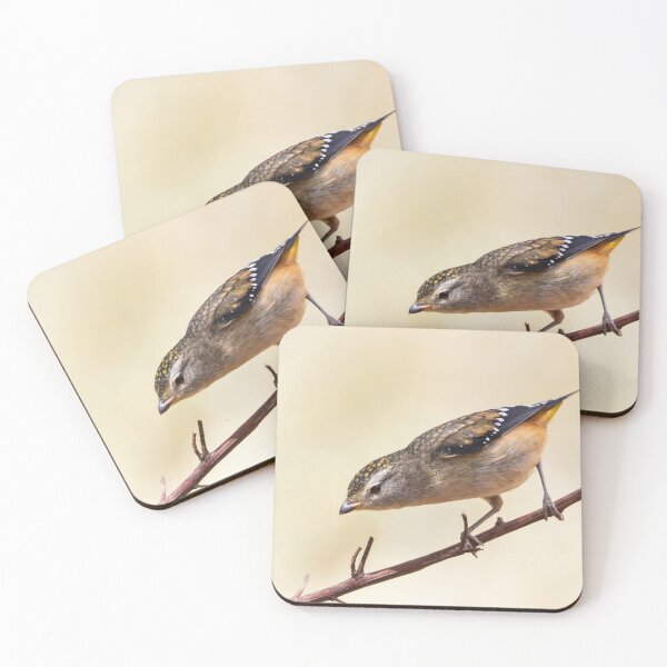 Item preview, Female Spotted Pardalote. designed and sold by David  Hibberd.