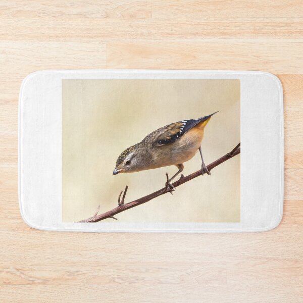 Item preview, Female Spotted Pardalote. designed and sold by David  Hibberd.