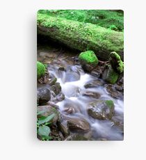 Nature Flow Canvas Print