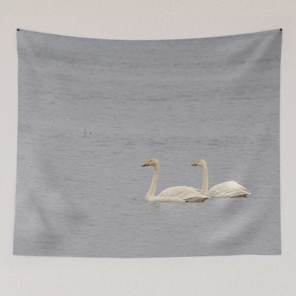 Item preview, Duo serious. Whooper swan designed and sold by Jouko Lehto Photography.
