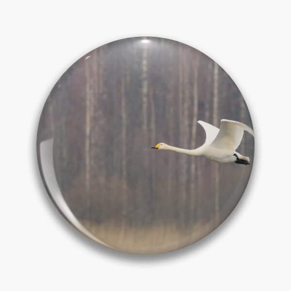 Item preview, Whoop. Whooper swan designed and sold by Jouko Lehto Photography.