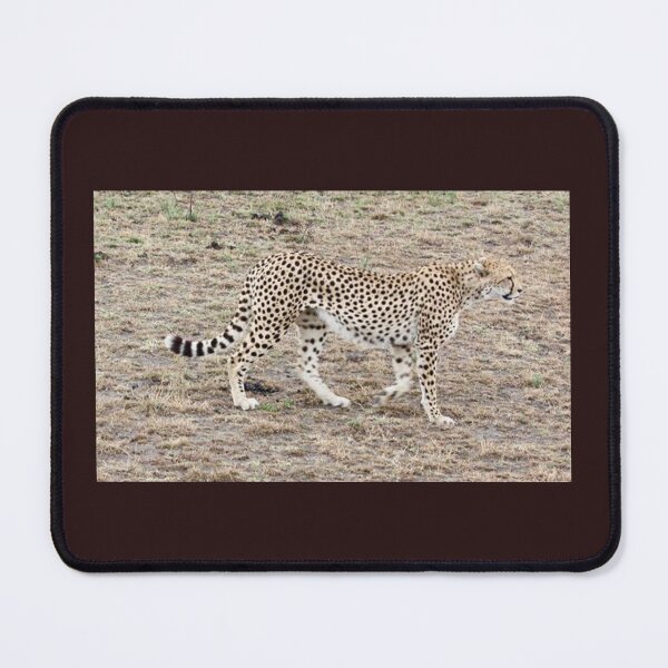 Item preview, The Cheetah's Serenity designed and sold by annenambiro.