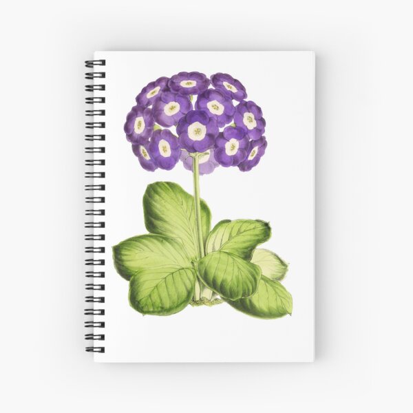 Item preview, Great Primrose Clothing or Primrose shirt & Primrose Accessories designed and sold by Printoweb.