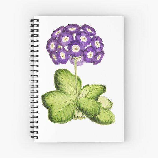 Item preview, Great Primrose Clothing or Primrose shirt & Primrose Accessories designed and sold by Printoweb.