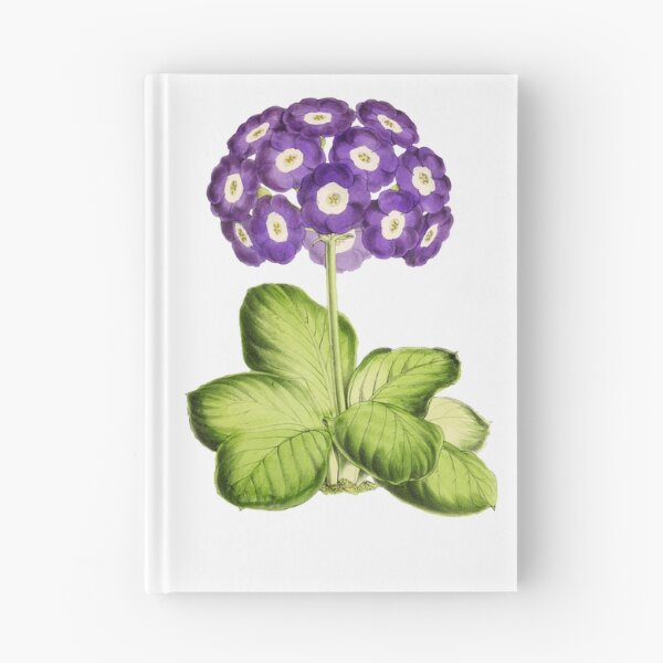 Item preview, Great Primrose Clothing or Primrose shirt & Primrose Accessories designed and sold by Printoweb.