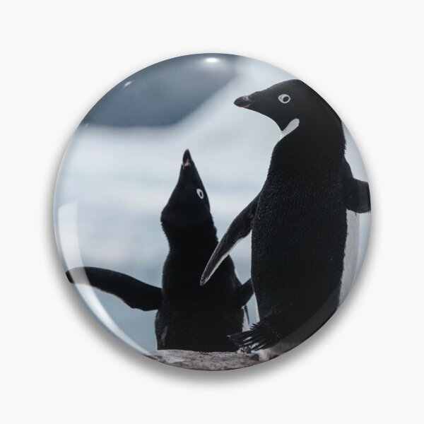 Item preview, Adelie Penguin designed and sold by RainnzStickerz.