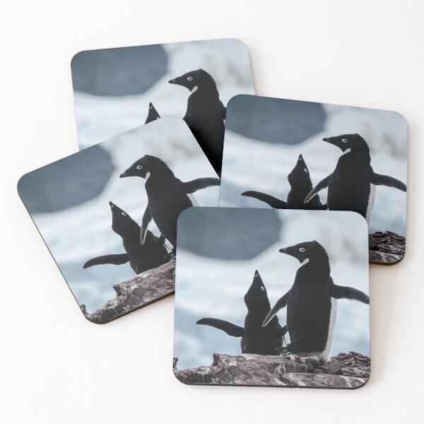 Item preview, Adelie Penguin designed and sold by RainnzStickerz.