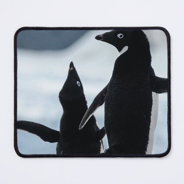 Item preview, Adelie Penguin designed and sold by RainnzStickerz.