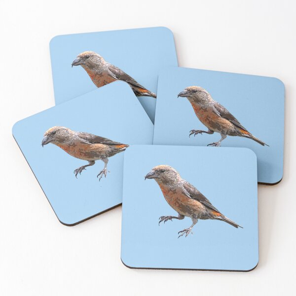 Item preview, Cassia Crossbill Color Design  designed and sold by designsasstultd.