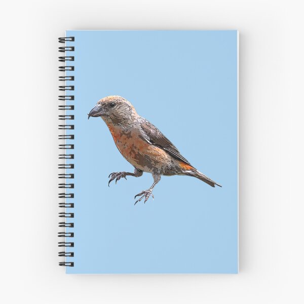 Item preview, Cassia Crossbill Color Design  designed and sold by designsasstultd.