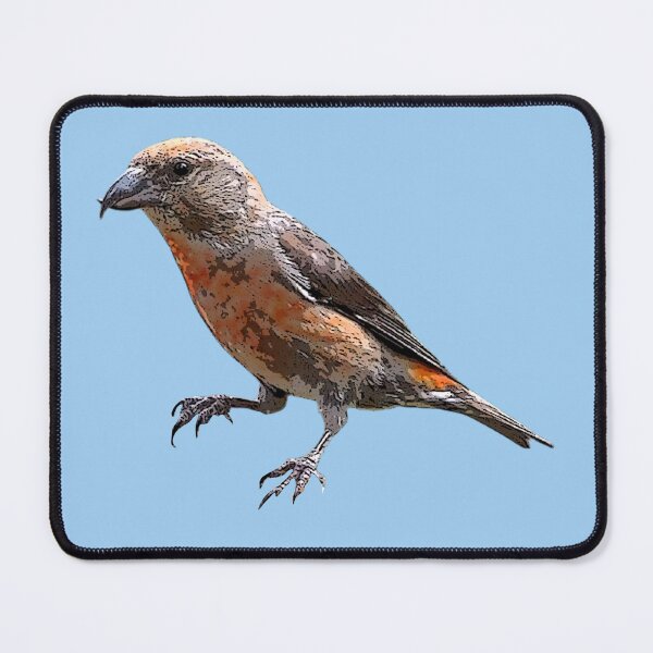 Item preview, Cassia Crossbill Color Design  designed and sold by designsasstultd.