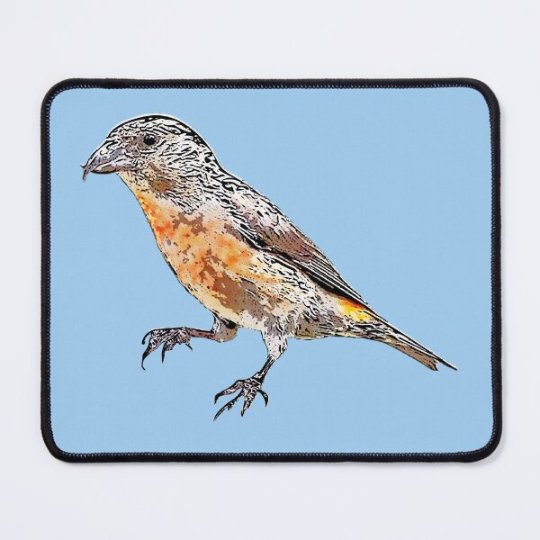 Item preview, Cassia Crossbill Black Alternate  Design  designed and sold by designsasstultd.