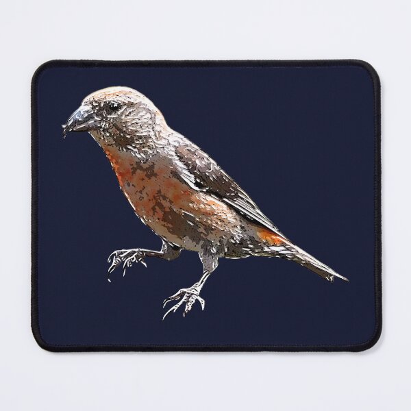 Item preview, Cassia Crossbill White Alternate  Design  designed and sold by designsasstultd.