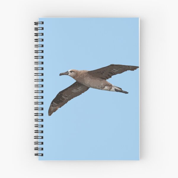 Item preview, Black-footed Albatross Color Design  designed and sold by designsasstultd.