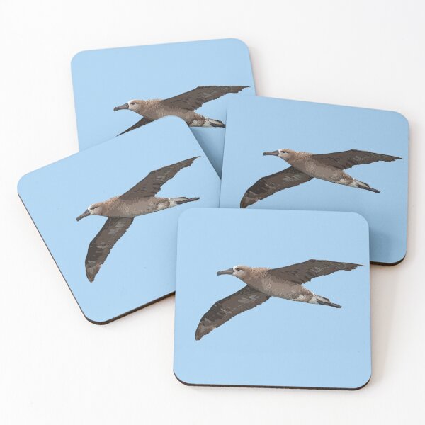 Item preview, Black-footed Albatross Color Design  designed and sold by designsasstultd.
