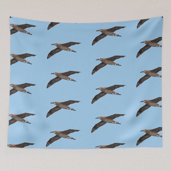 Item preview, Black-footed Albatross Color Design  designed and sold by designsasstultd.