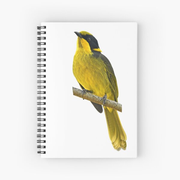 Helmeted Honeyeater 3 Spiral Notebook