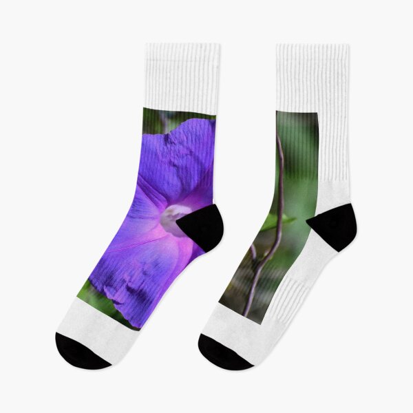Item preview, Morning Glory Bloom designed and sold by MercerImages.