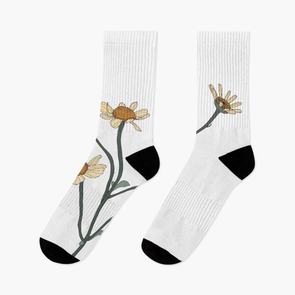 Item preview, Daisy flower drawing. Hand drawn engraved. Chamomile simple colored sketch. Wild botanical garden bloom.  designed and sold by MatyKotiv.
