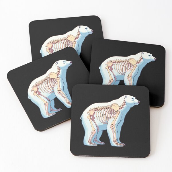 Item preview, X-ray Polar Bear Body Anatomy Radiography Skeleton designed and sold by Artistoos.