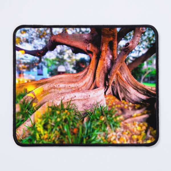 Item preview, Moreton Bay Rainbow Fig designed and sold by WeirdPower.