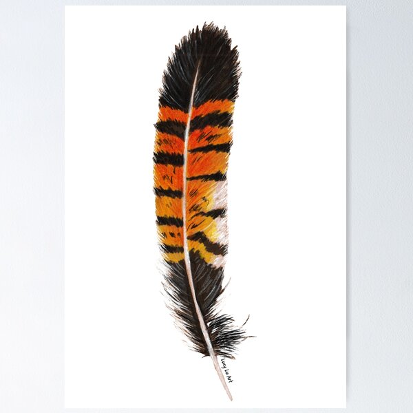 Item preview, Red-Tailed Black Cockatoo Feather designed and sold by lucyluart.
