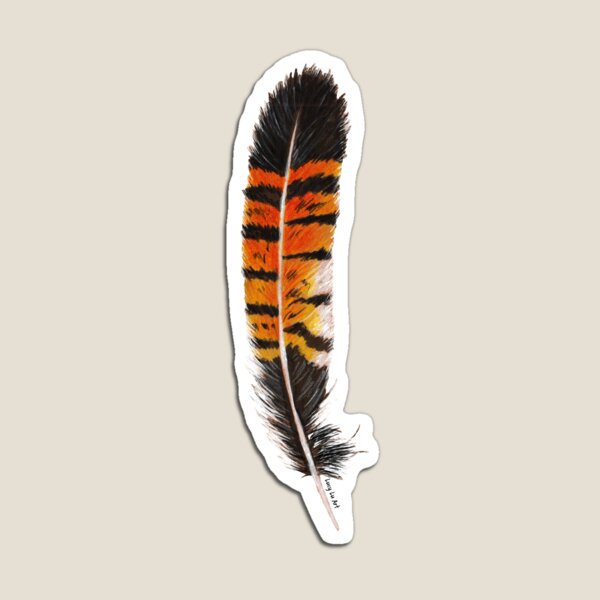 Red-Tailed Black Cockatoo Feather Magnet