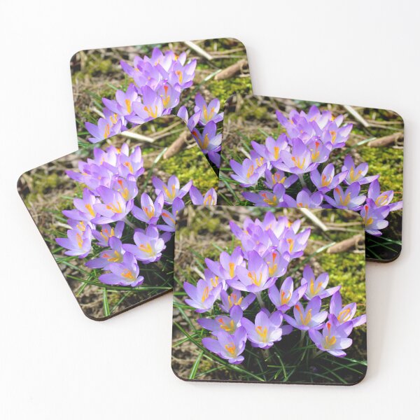 Item preview, Crocuses  designed and sold by McFleur's Lens.