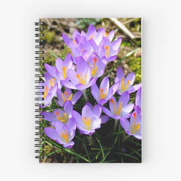 Item preview, Crocuses  designed and sold by McFleur's Lens.