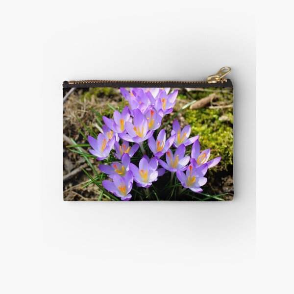 Item preview, Crocuses  designed and sold by McFleur's Lens.