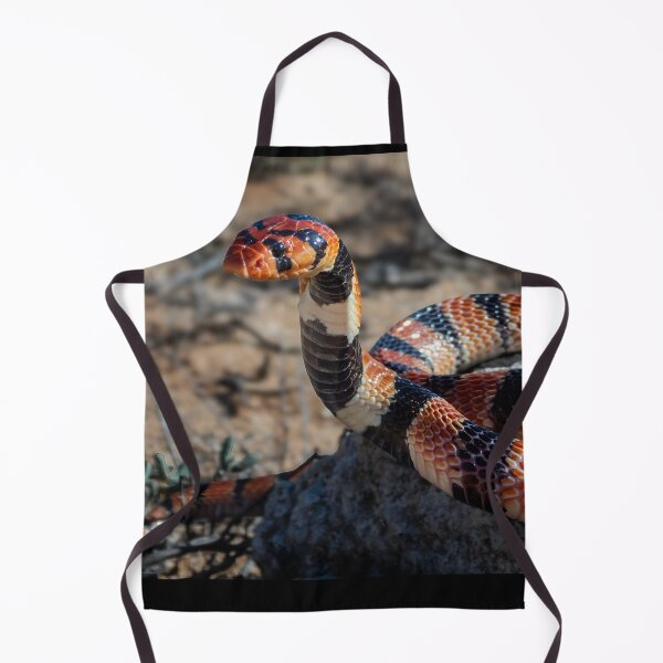 Item preview, Cape Coral Snake (Aspidelaps lubricus) designed and sold by Pixel Press Prints.