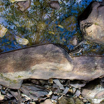 Artwork thumbnail, Tree Reflection Rocks by lennieslights