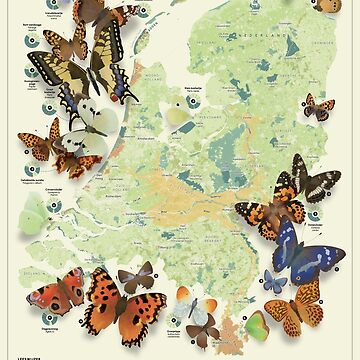 Artwork thumbnail, Butterflies in the Netherlands by EleanorLutz
