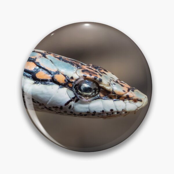 Item preview, Vine Snake (Thelotornis capensis) designed and sold by Pixel Press Prints.
