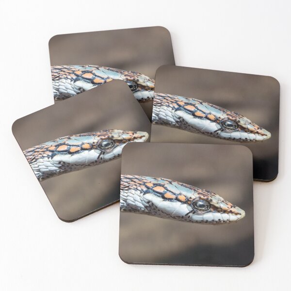 Item preview, Vine Snake (Thelotornis capensis) designed and sold by Pixel Press Prints.