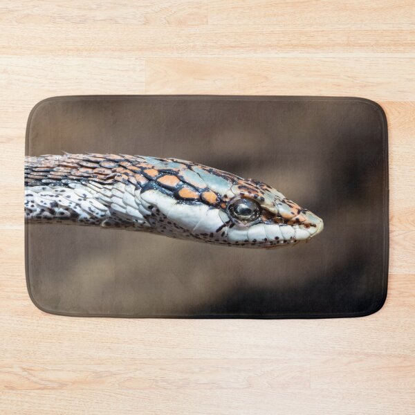 Item preview, Vine Snake (Thelotornis capensis) designed and sold by Pixel Press Prints.