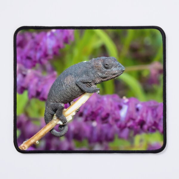 Item preview, Dark Chameleon amid Purple Leaves designed and sold by Pixel Press Prints.