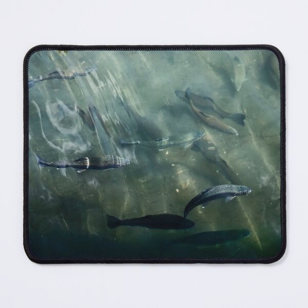 Item preview, Weights in a fountain designed and sold by Javier Narváez Solarte.