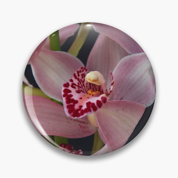 Artikelvorschau, Exotische rosa Orchidee entworfen und verkauft von maureen bracewell.