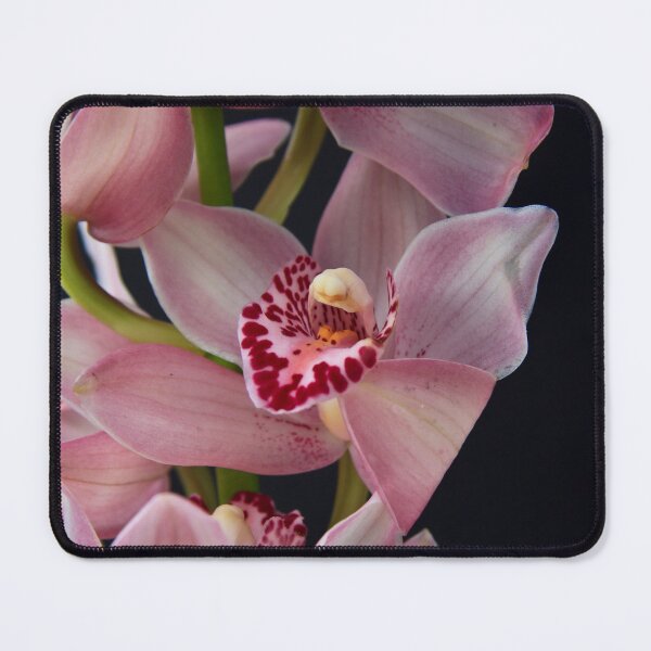 Item preview, Exotic Pink Orchid designed and sold by maureen bracewell.