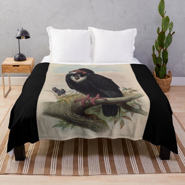 Item preview, Antique Vulture Illustration – Vintage Ornithology Print designed and sold by InnerCitadel.