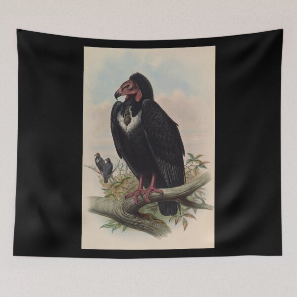 Item preview, Antique Vulture Illustration – Vintage Ornithology Print designed and sold by InnerCitadel.