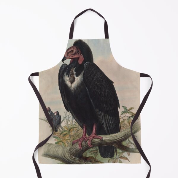 Item preview, Antique Vulture Illustration – Vintage Ornithology Print designed and sold by InnerCitadel.