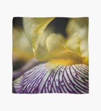 Goldener Zebra Iris Marco Tuch